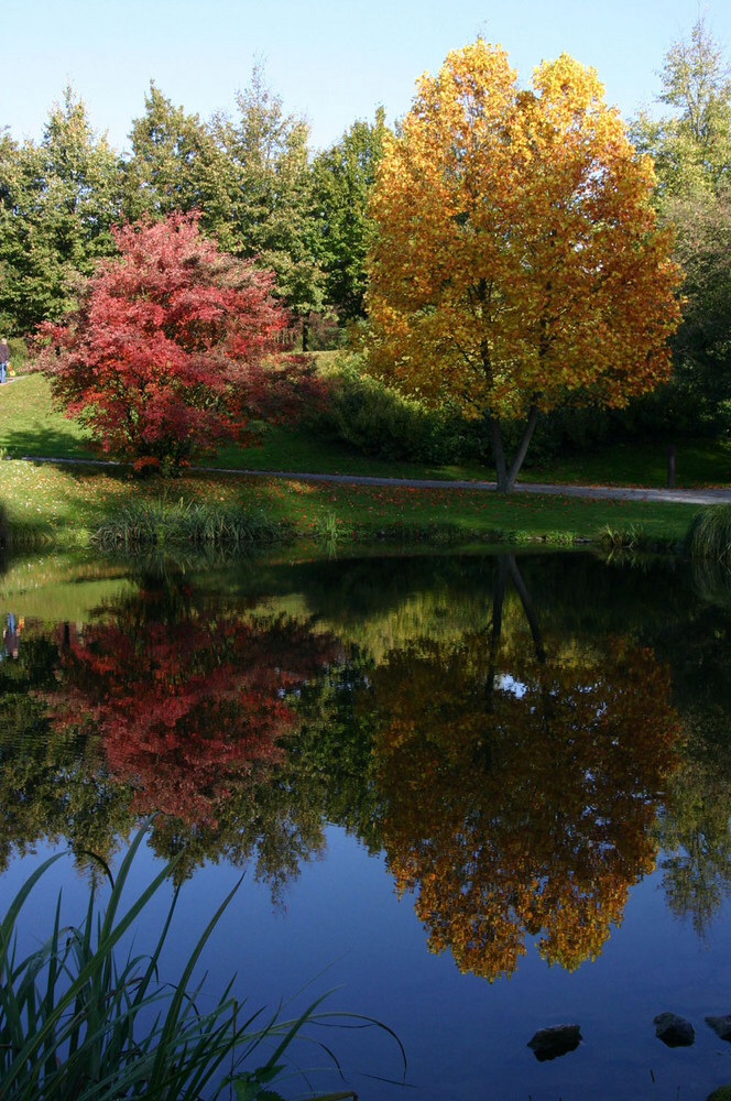 Farben des Herbstes ..