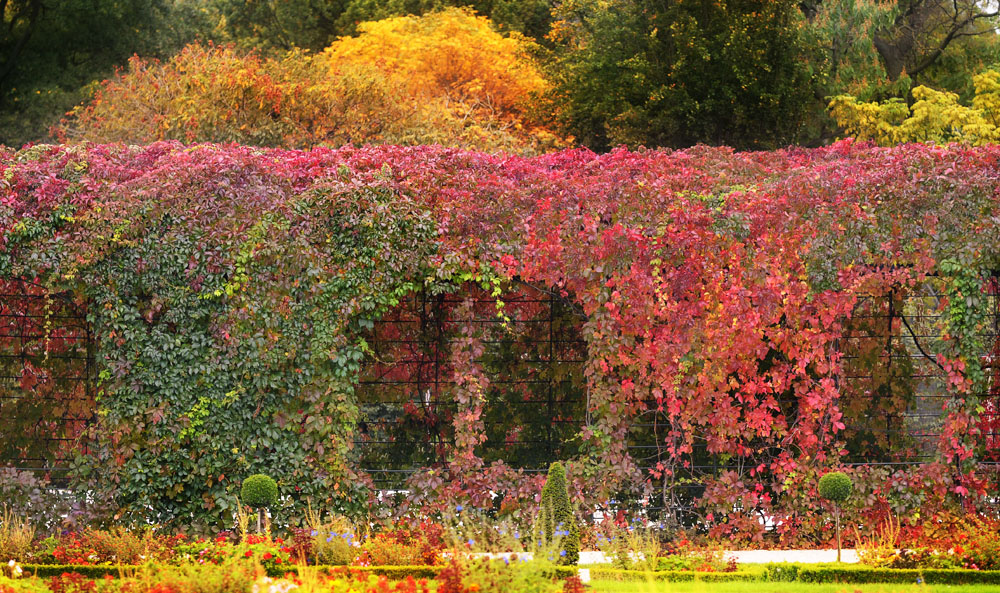 Farben des Herbstes von Mariola B