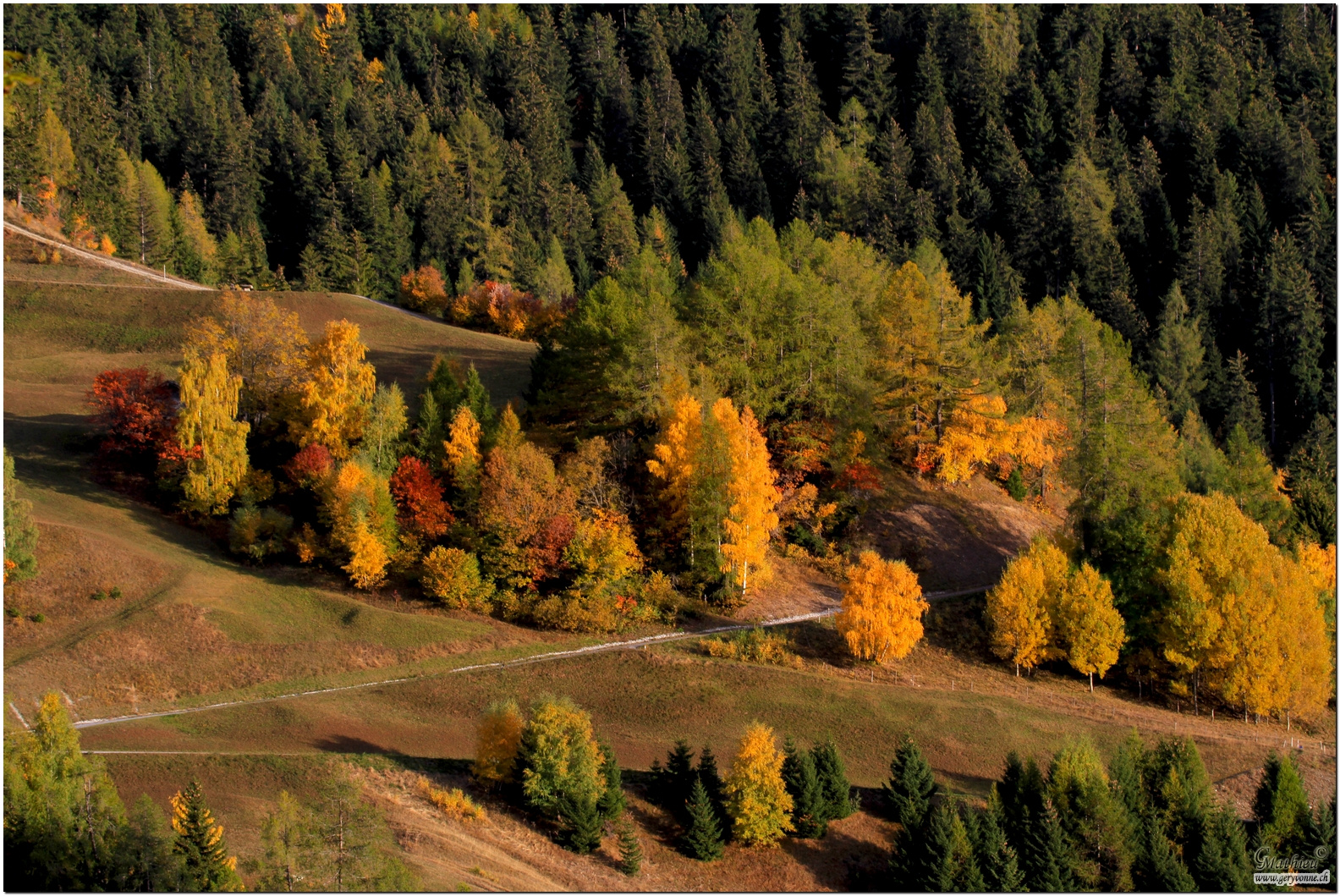 Farben des Herbstes