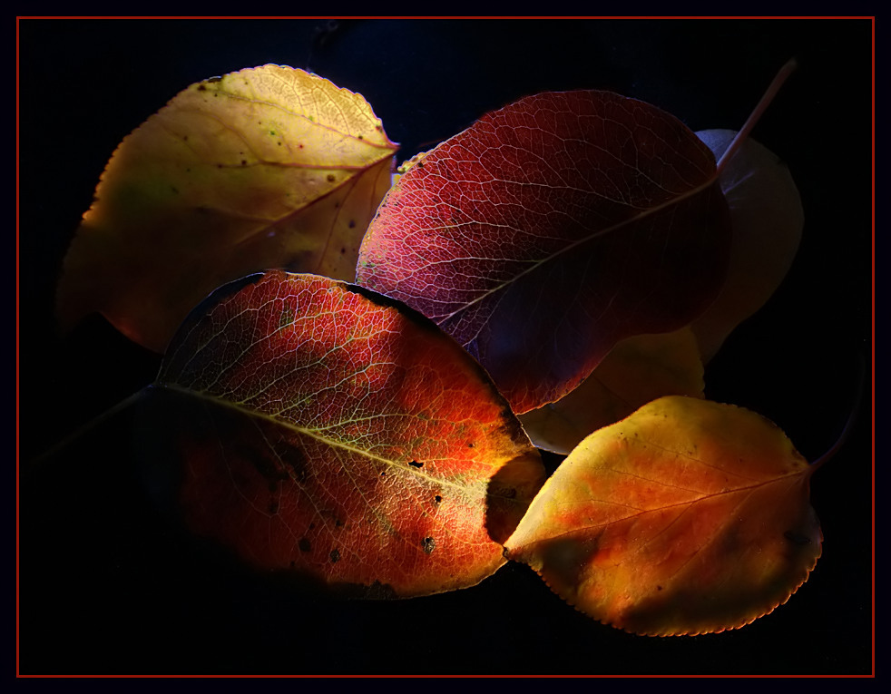 Farben des Herbstes 2