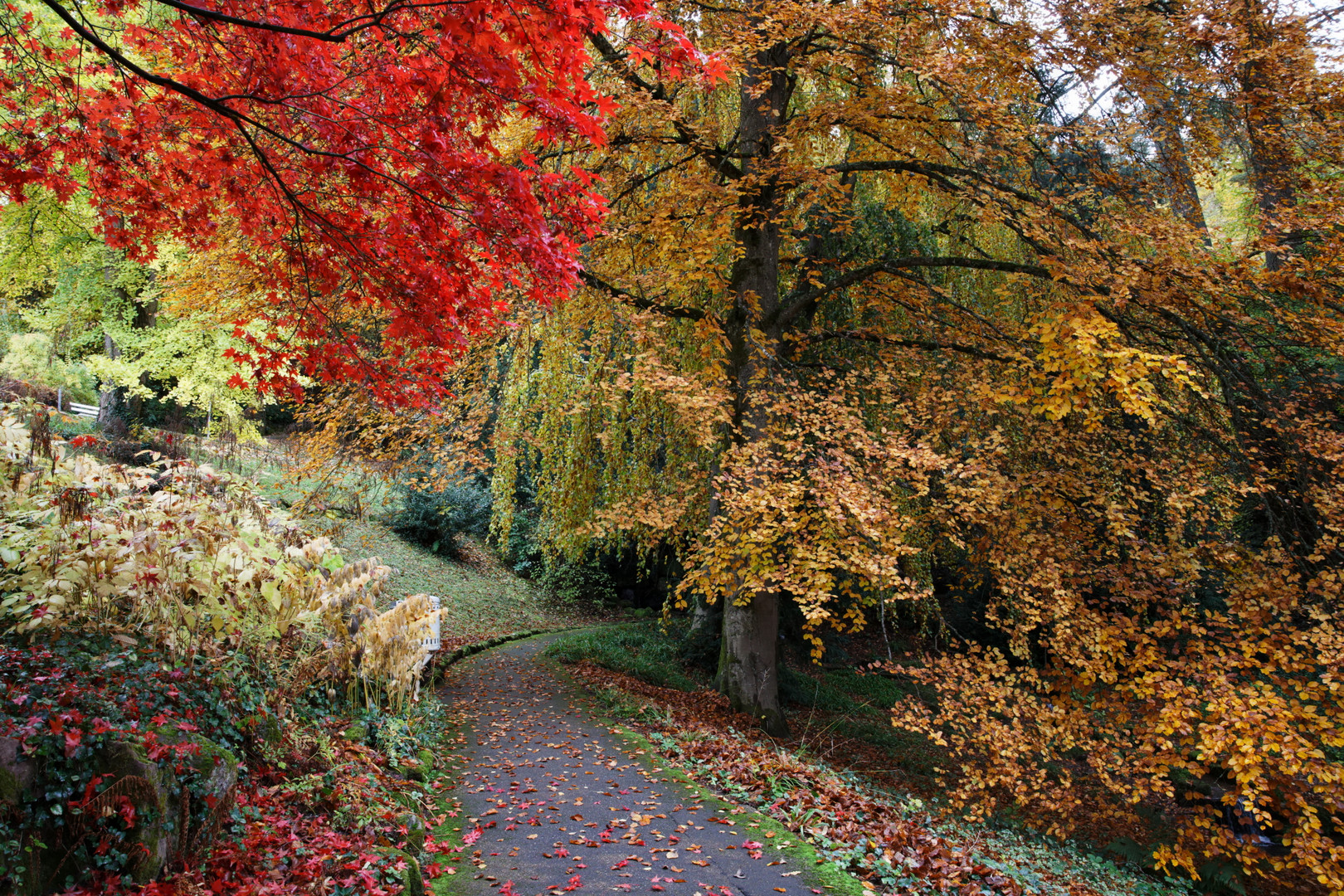 Farben des Herbstes 2