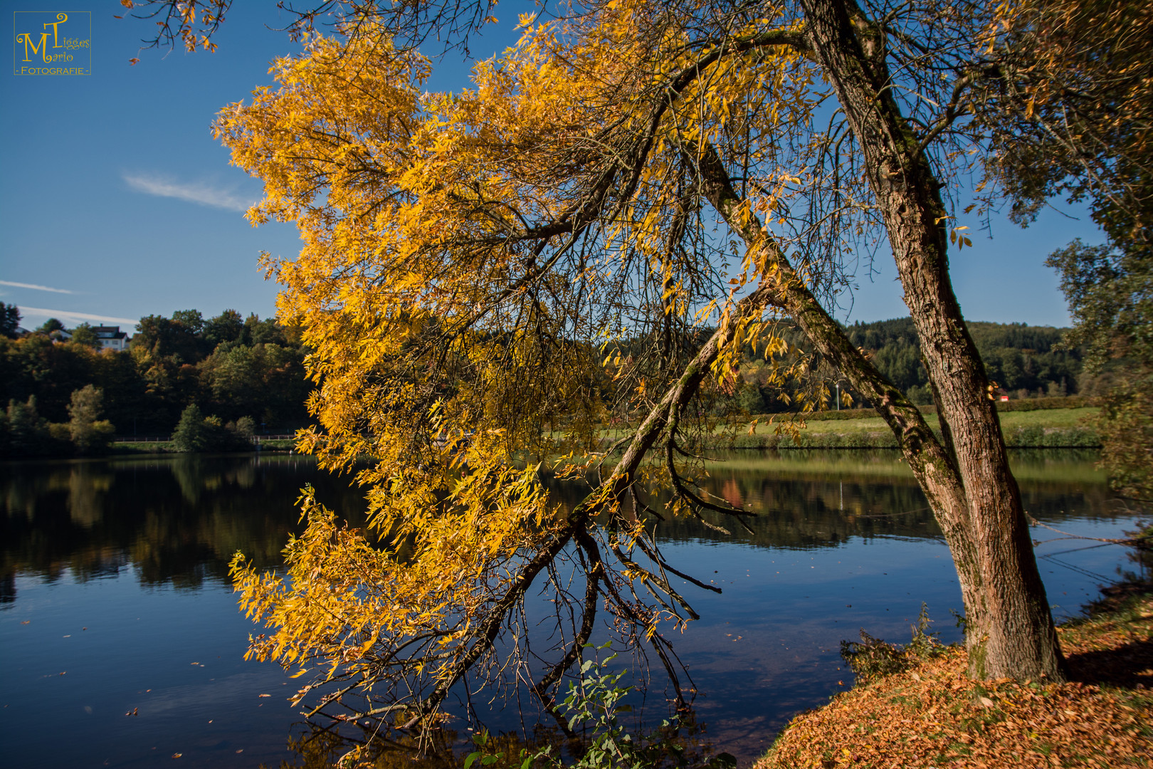 Farben des Herbstes