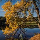 Farben des Herbstes