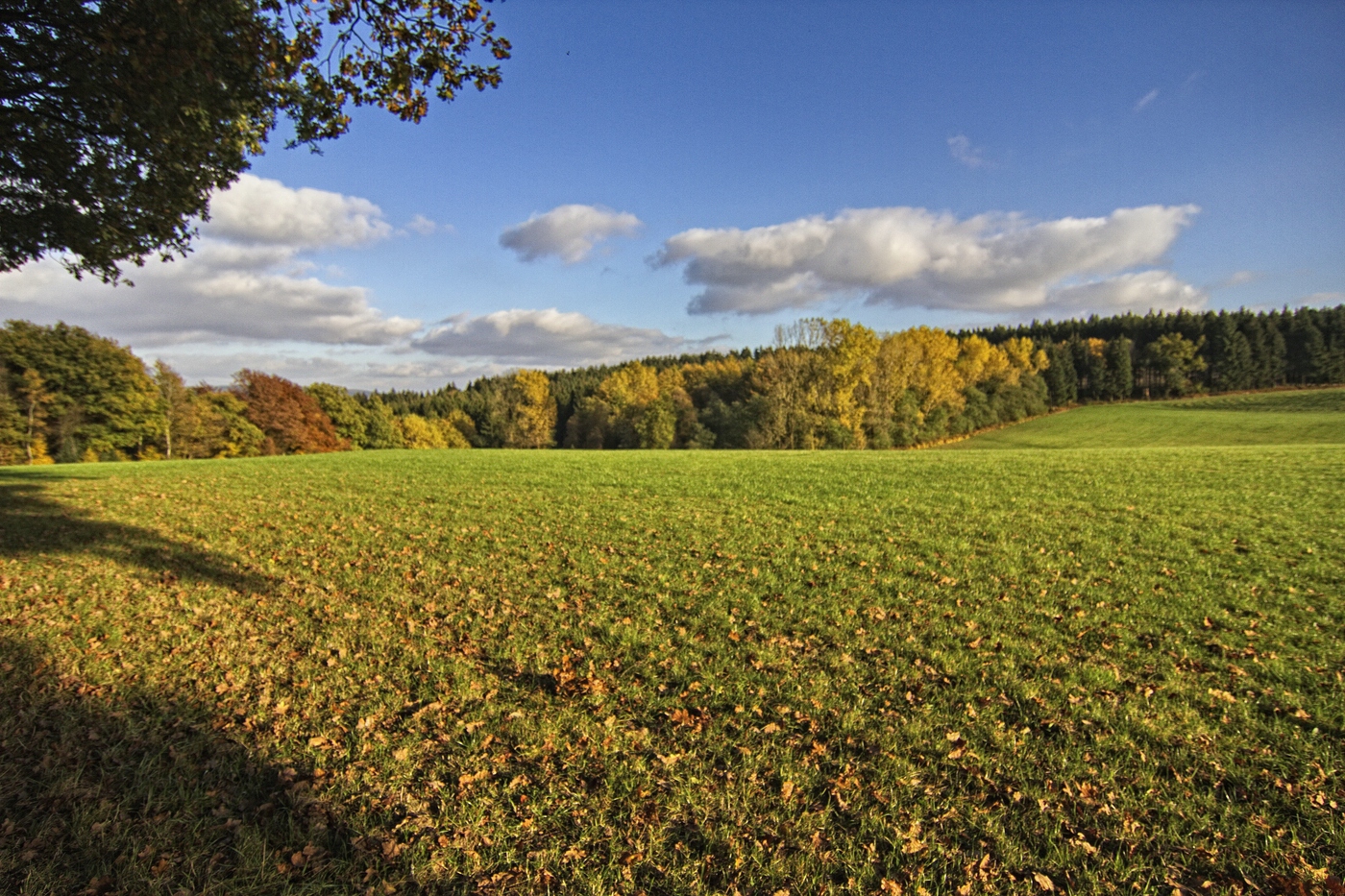 Farben des Herbstes