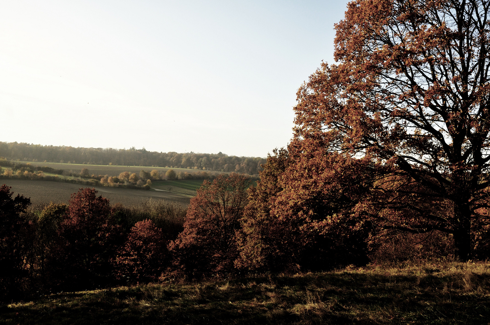 .....Farben des Herbstes....