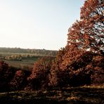 .....Farben des Herbstes....