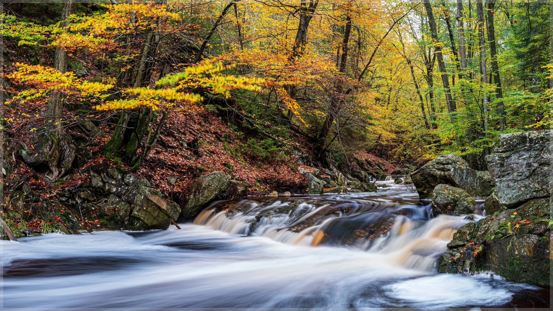 * Farben des Herbstes * 