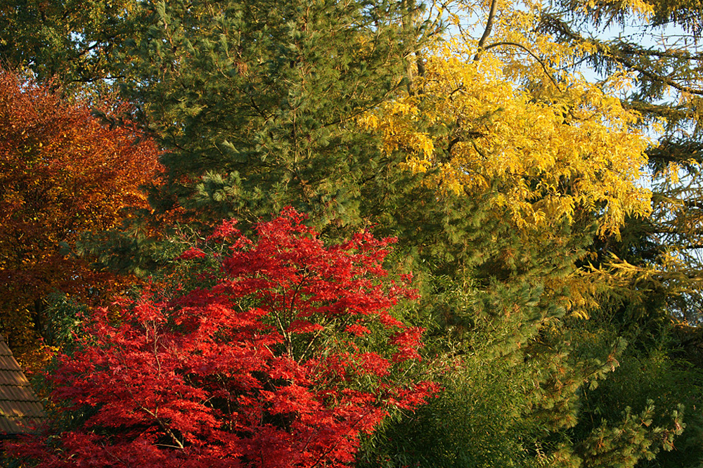 Farben des Herbstes.