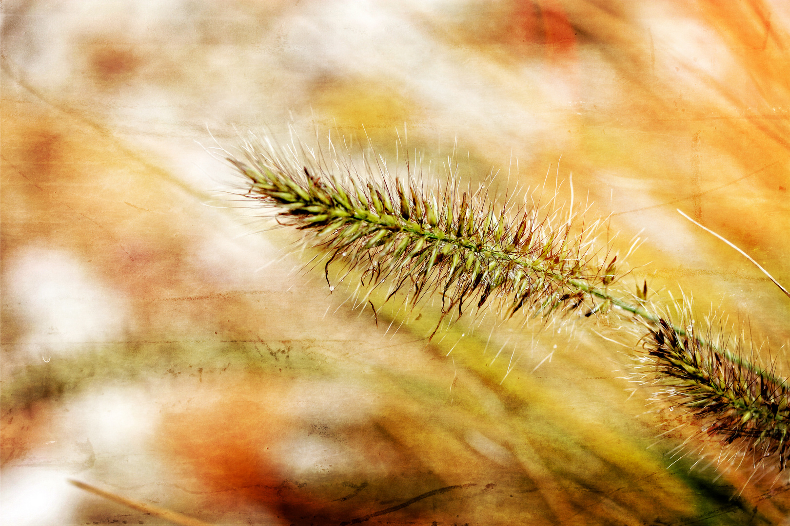 Farben des Herbstes