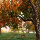 Farben des Herbstes