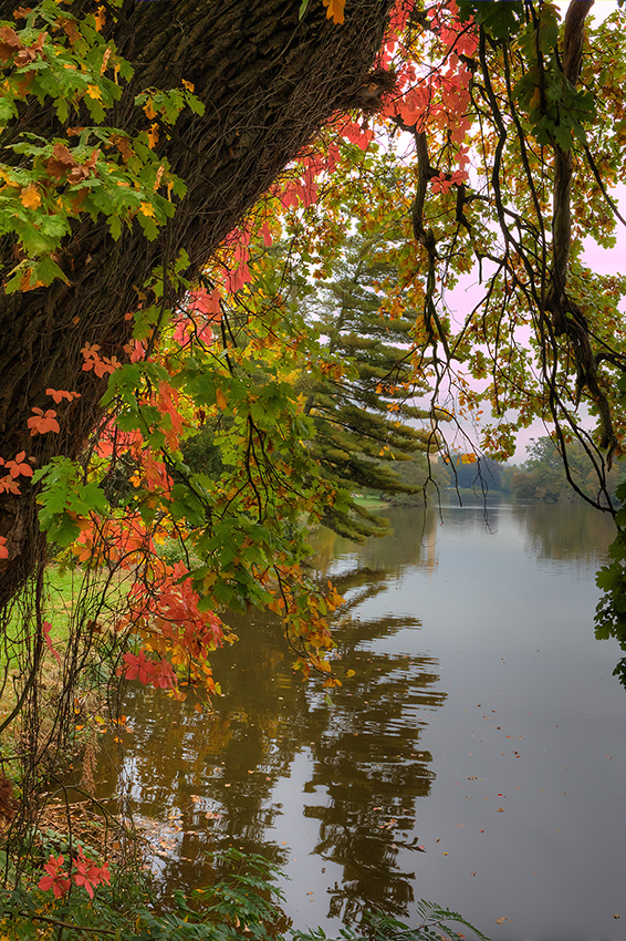 Farben des Herbstes