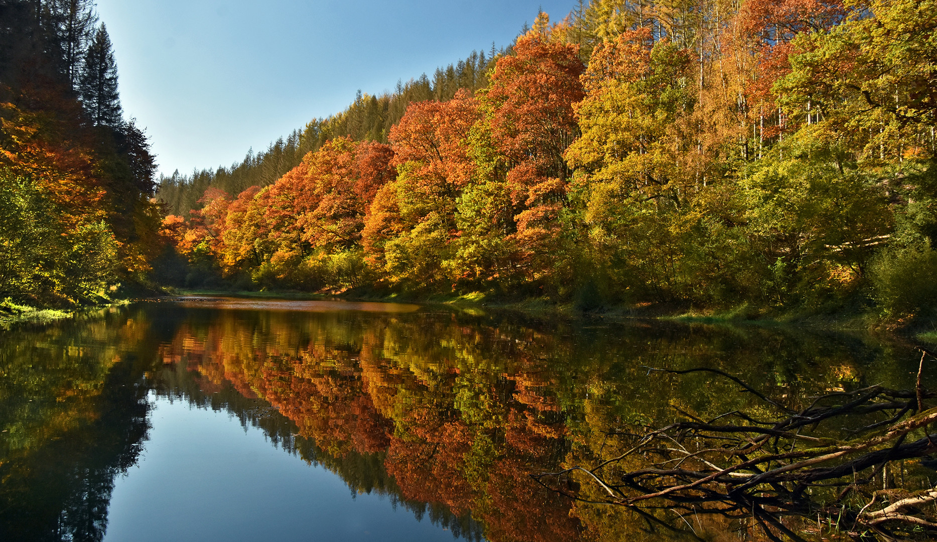 Farben des Herbstes.....