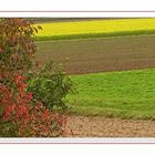 Farben des Herbstes