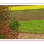 Farben des Herbstes