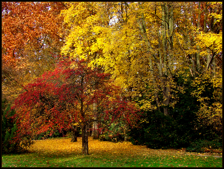 Farben des Herbstes