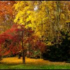 Farben des Herbstes