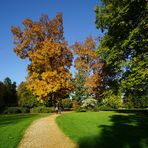 Farben des Herbstes.