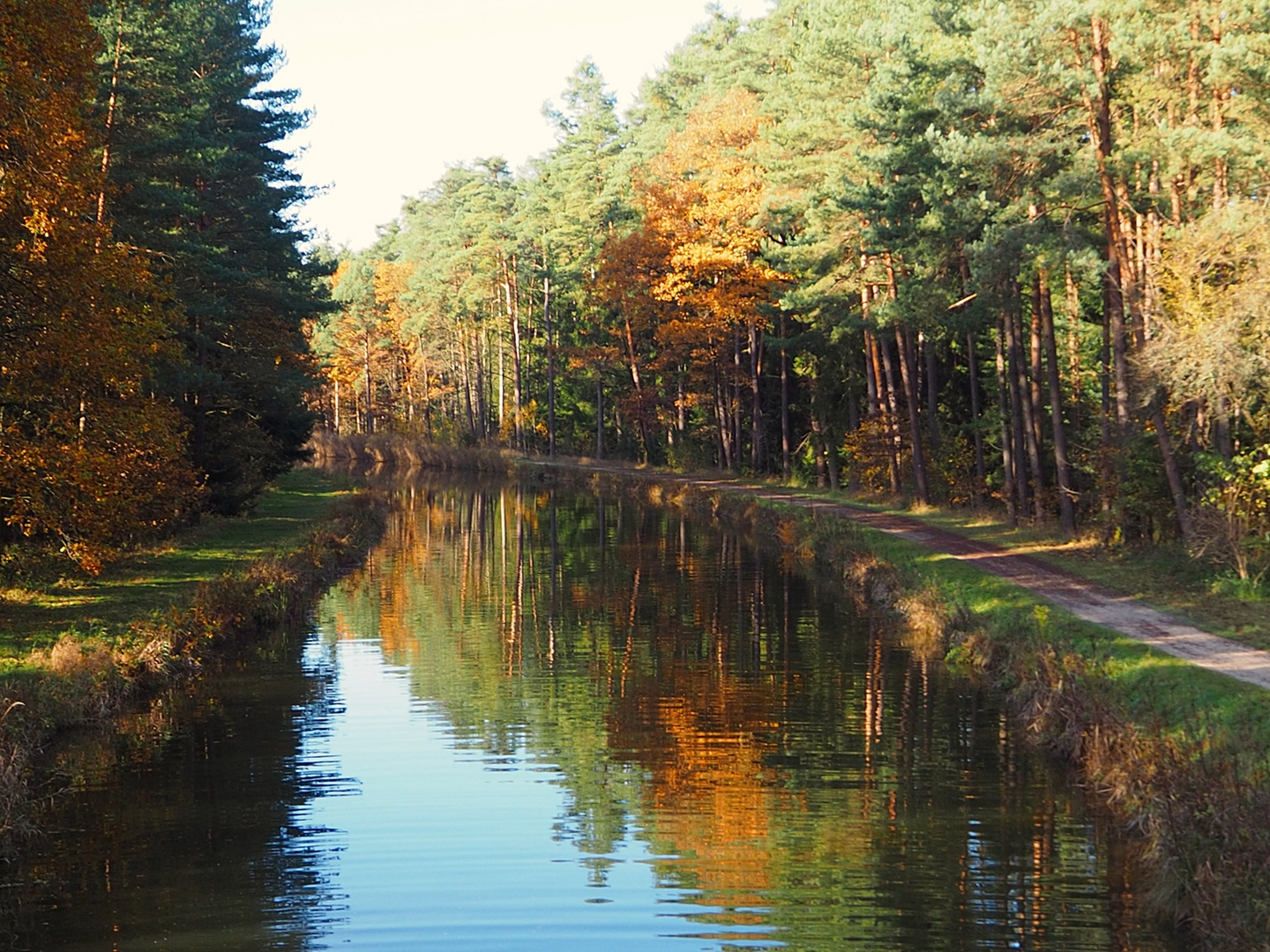 Farben des Herbstes