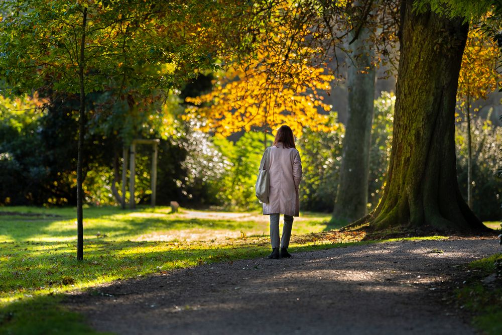 Farben des Herbstes