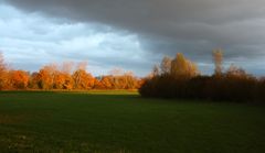 Farben des Herbstes