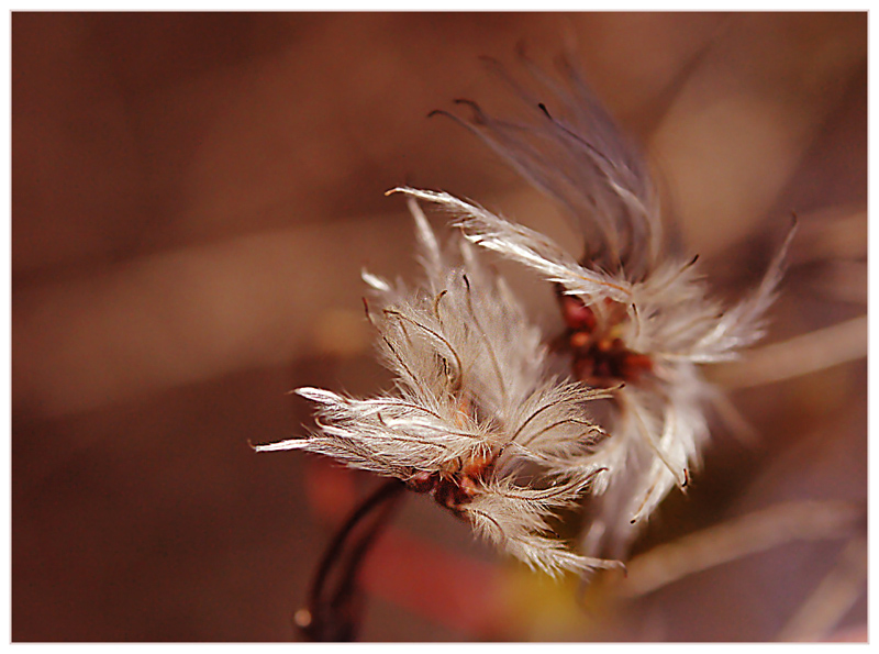 [farben des herbstes...]