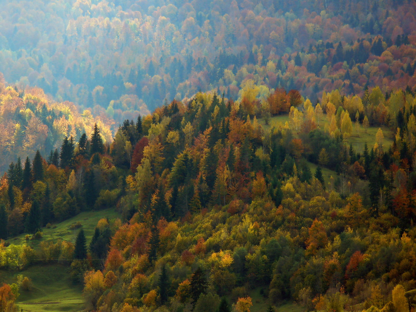 Farben des Herbstes