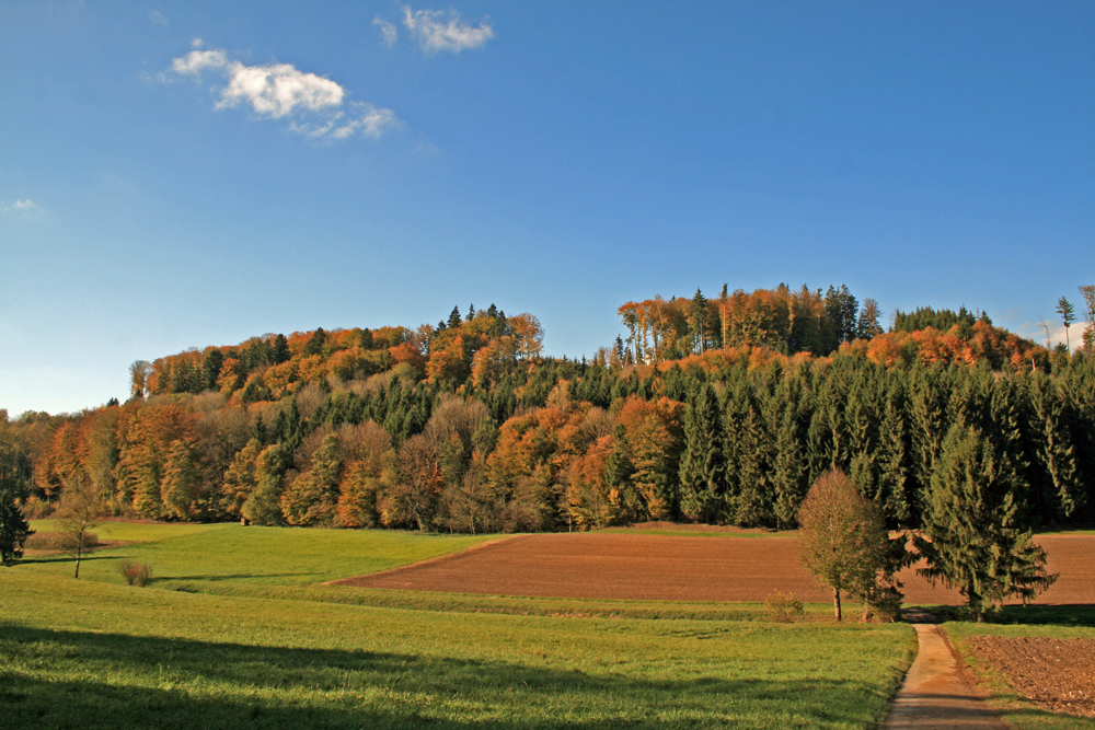 Farben des Herbstes