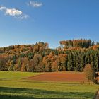 Farben des Herbstes