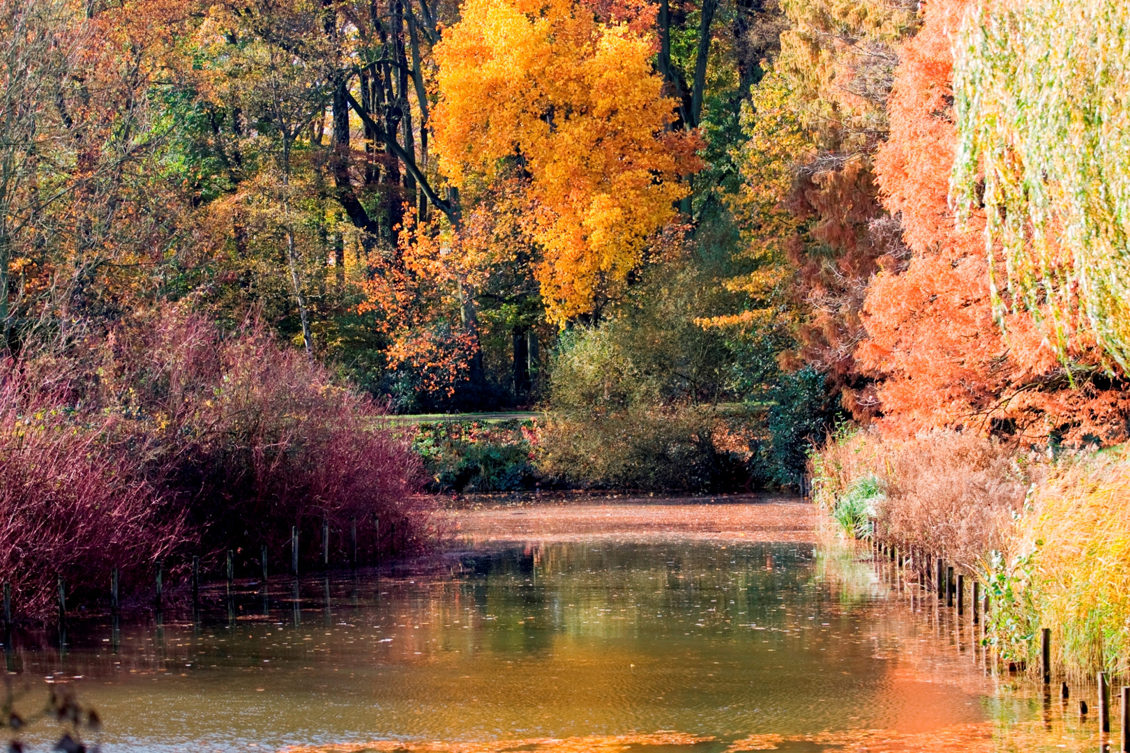 Farben des Herbstes