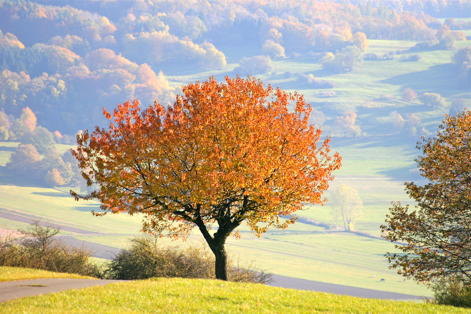 Farben des Herbstes