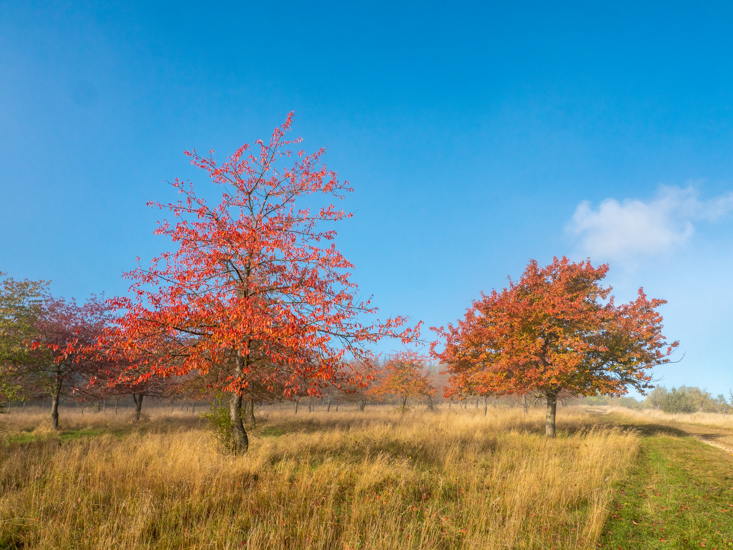 Farben des Herbstes