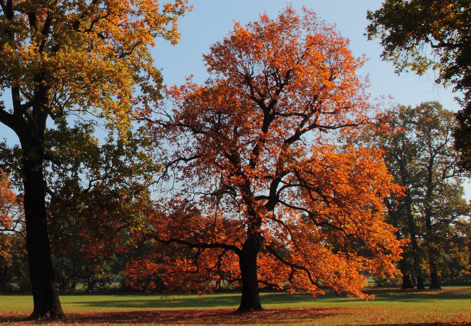 Farben des Herbstes