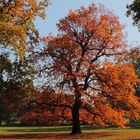 Farben des Herbstes