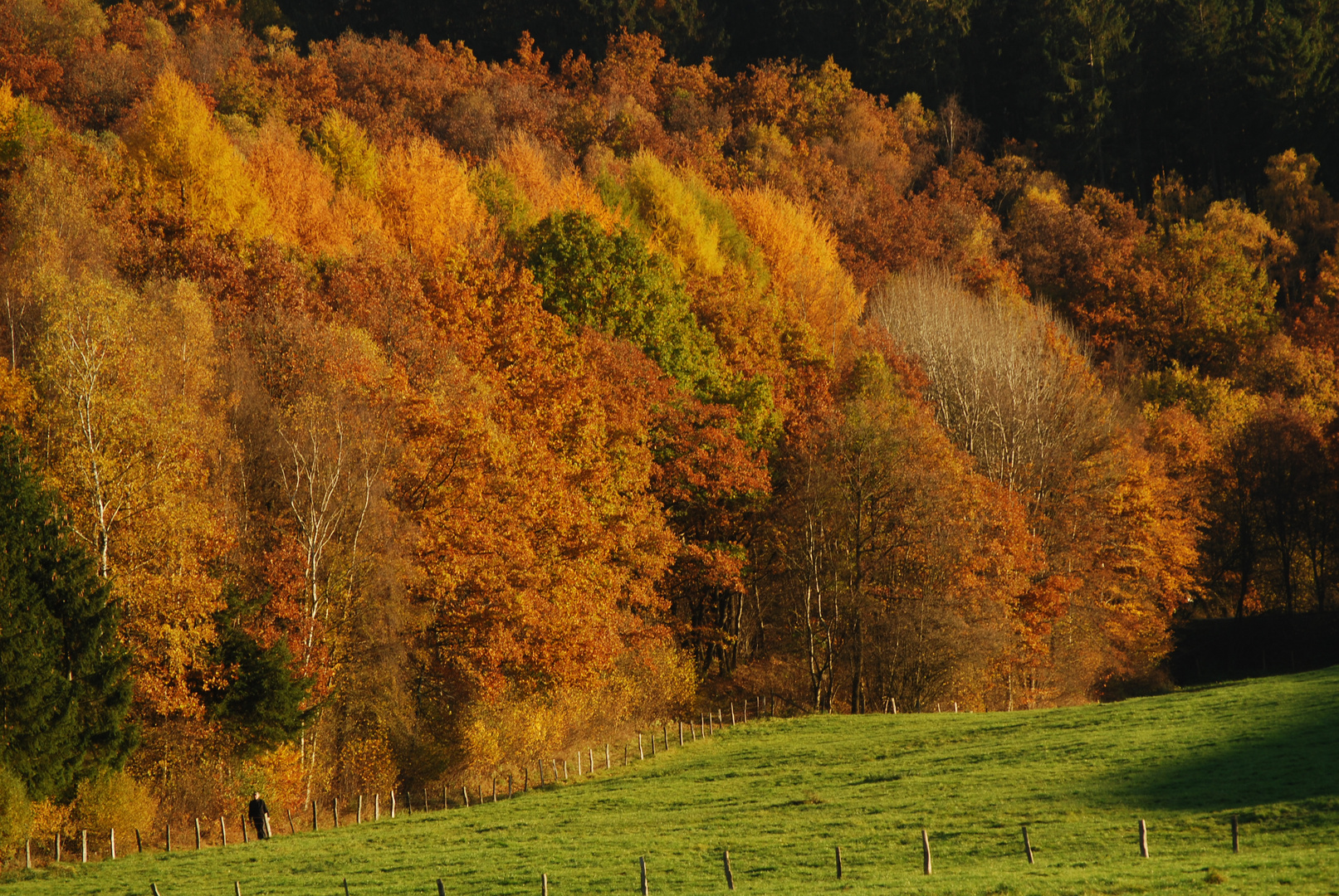 Farben des Herbstes