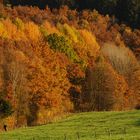 Farben des Herbstes