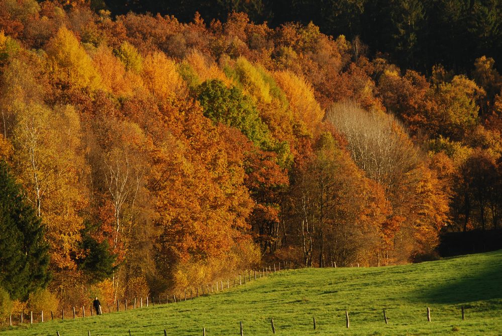 Farben des Herbstes