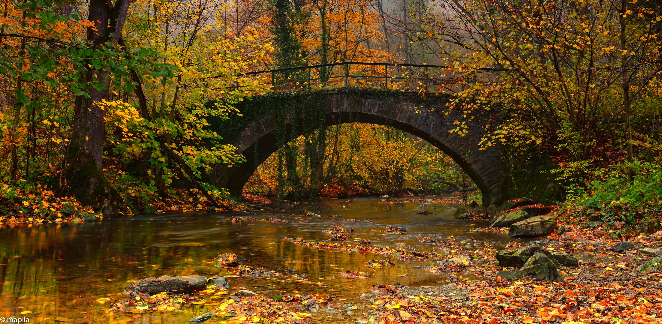 --- Farben des Herbstes ---