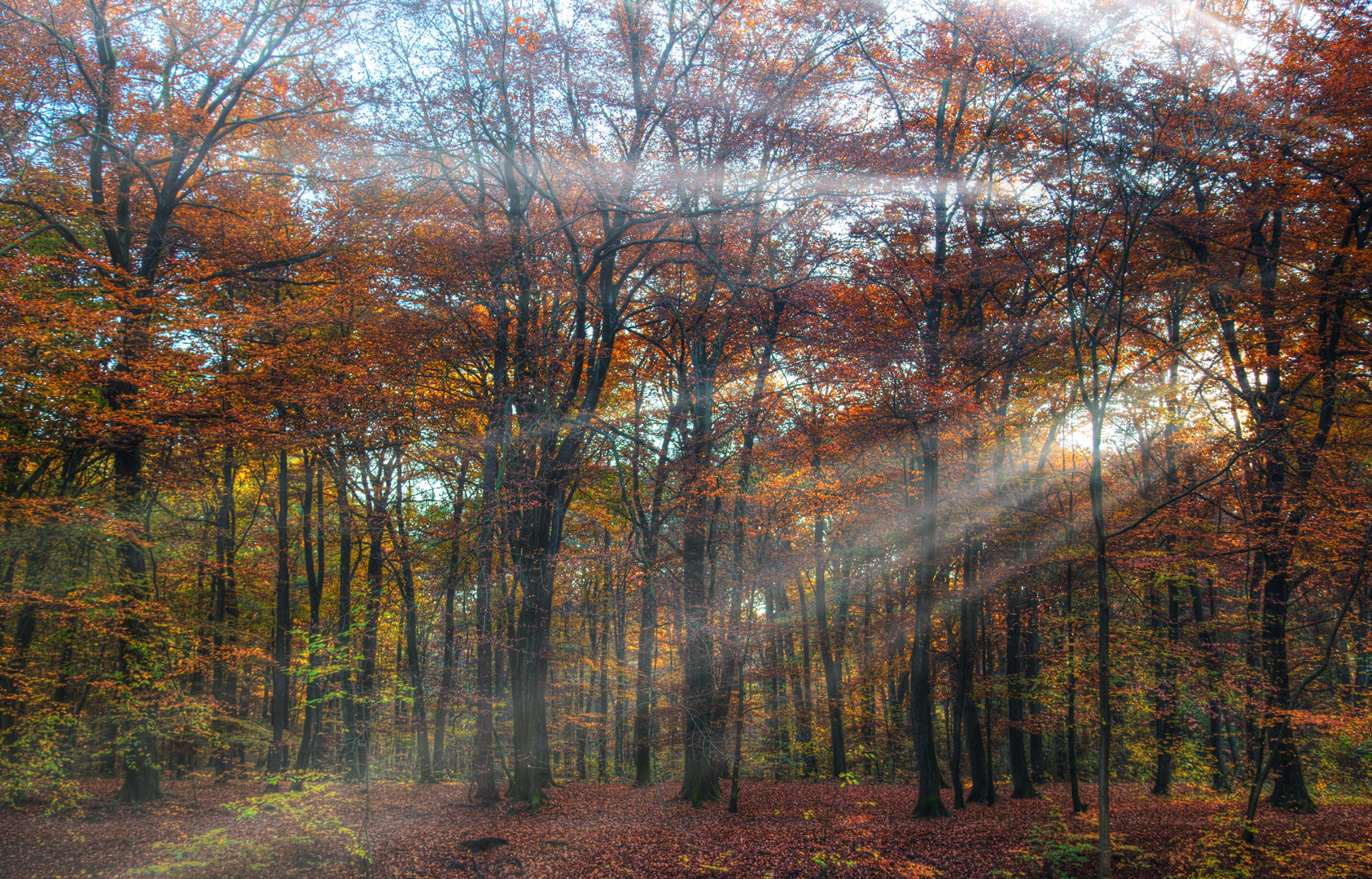 Farben des Herbstes