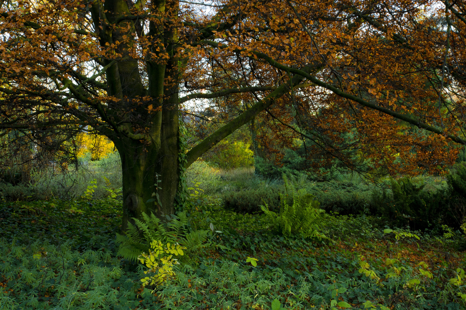 Farben des Herbstes