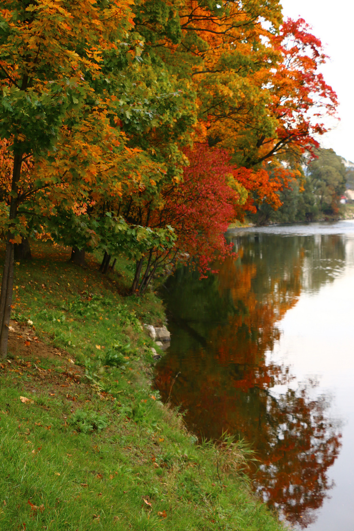 Farben des Herbstes