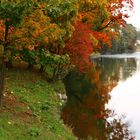 Farben des Herbstes