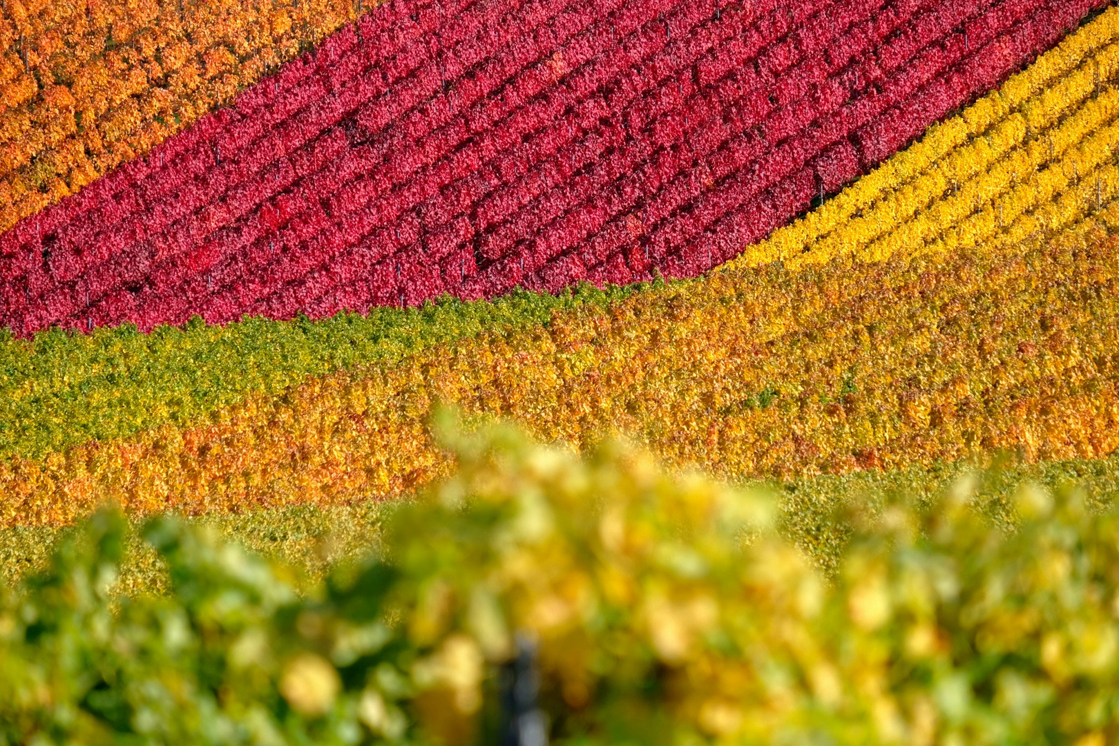 Farben des Herbstes I