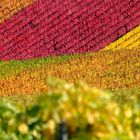 Farben des Herbstes I