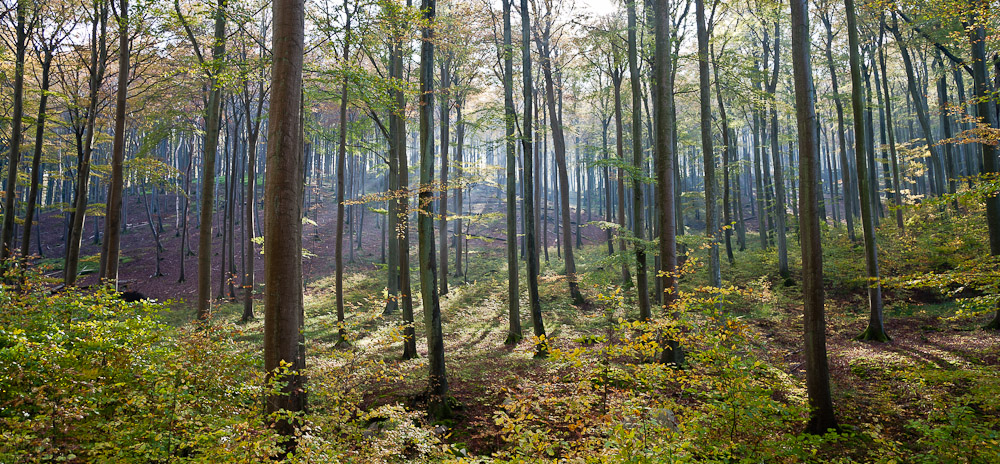 Farben des Herbsts