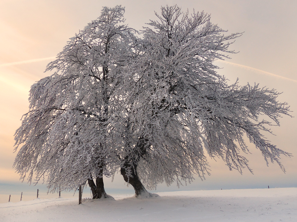 Farben des Himmels