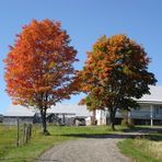 Farben des Indian Summer