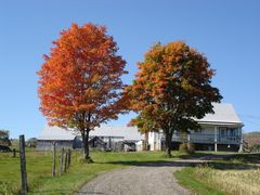 Farben des Indian Summer