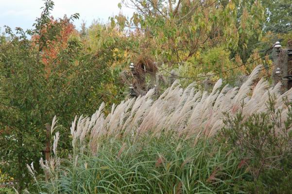 Farben des Jahres HERBST 3