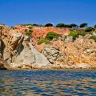 Farben des Landes (Fahrt zu den Grotten - Albufeira - Algarve - Portugal)