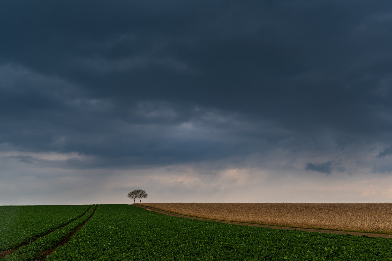 Farben des März 